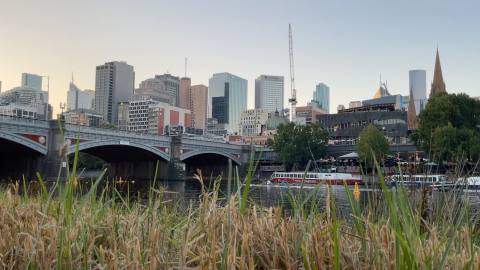 Princes Bridge (2025)